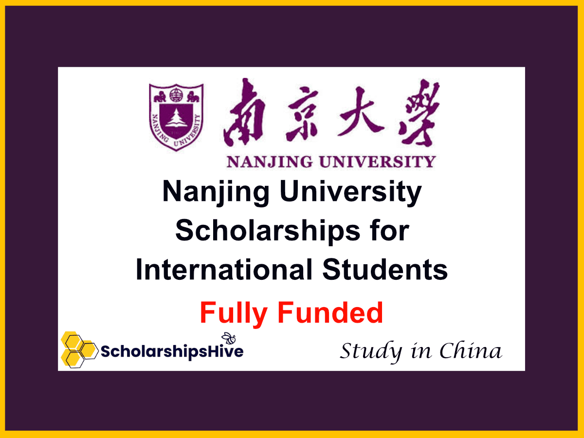 nanjing university scholarships for international students