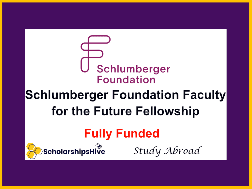 Schlumberger Foundation Faculty for the Future Fellowship (Fully Funded)