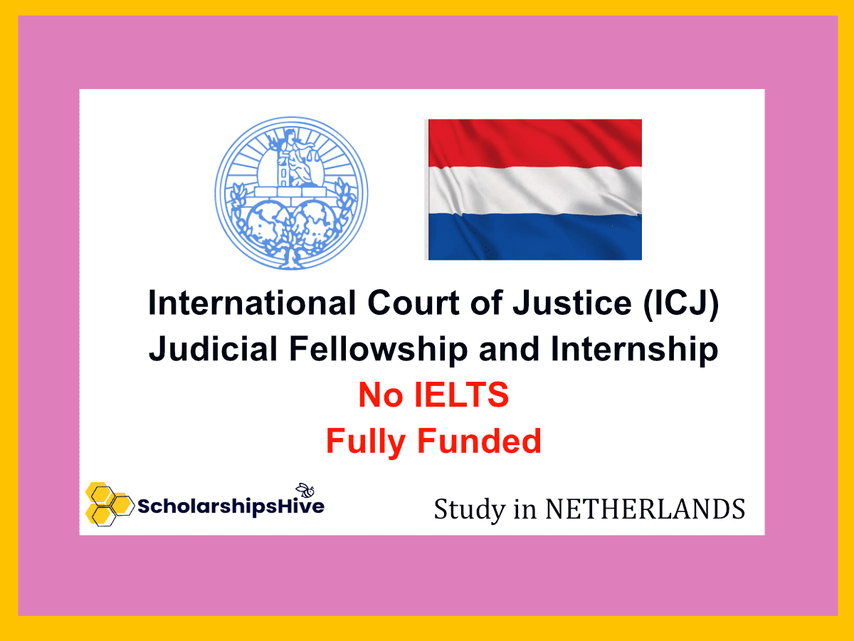 International Court of Justice (ICJ) Judicial Fellowship and Internship