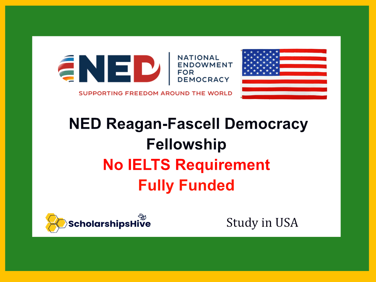 NED Reagan-Fascell Democracy Fellowship USA