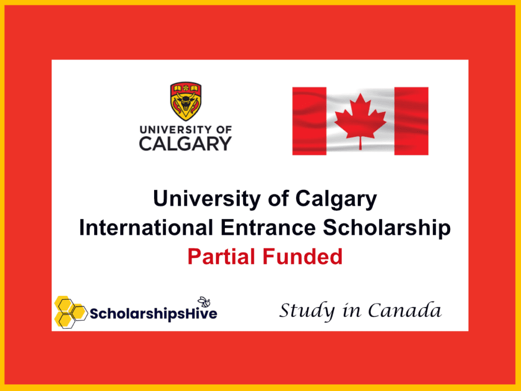 University of Calgary International Entrance Scholarship: Merit-Based Partial Funding for International Students