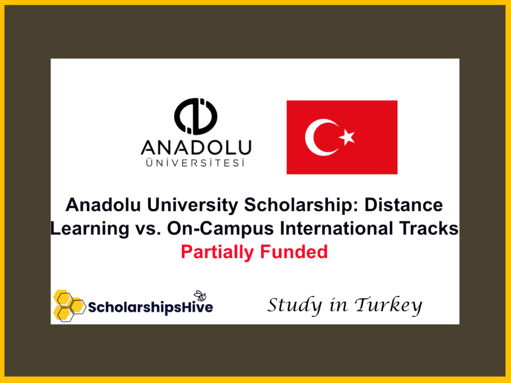 Anadolu University Scholarship: Distance Learning vs. On-Campus International Tracks, Turkey | Partially Funded