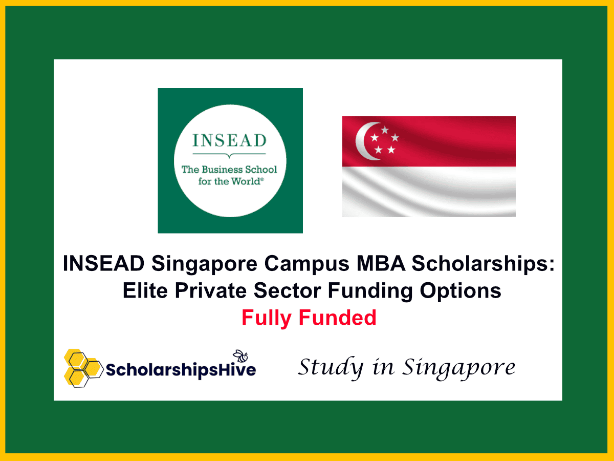 INSEAD Singapore Campus MBA Scholarships: Elite Private Sector Funding Options in Singapore